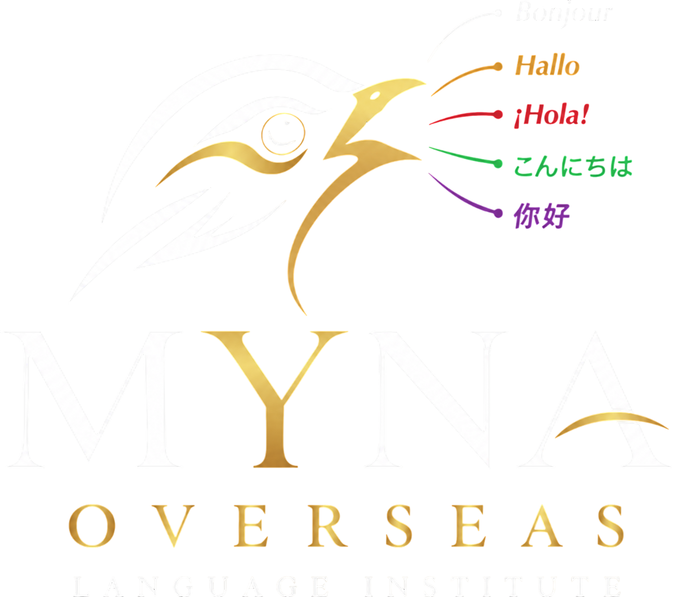 mynaoverseas Footer Branding Logo